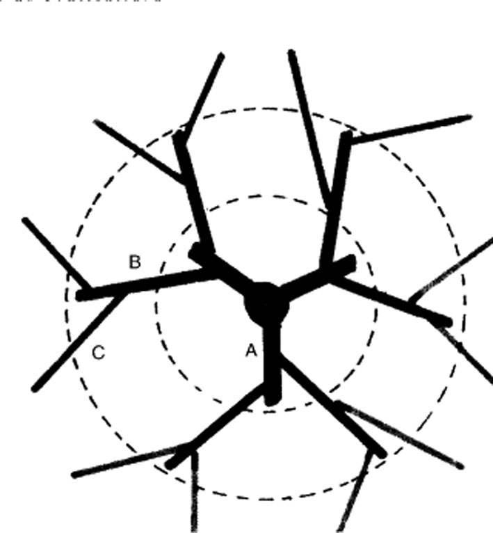 poda fig2